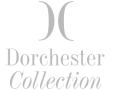 Logo 13