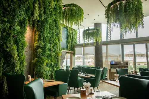 Banya Forrest Dubai