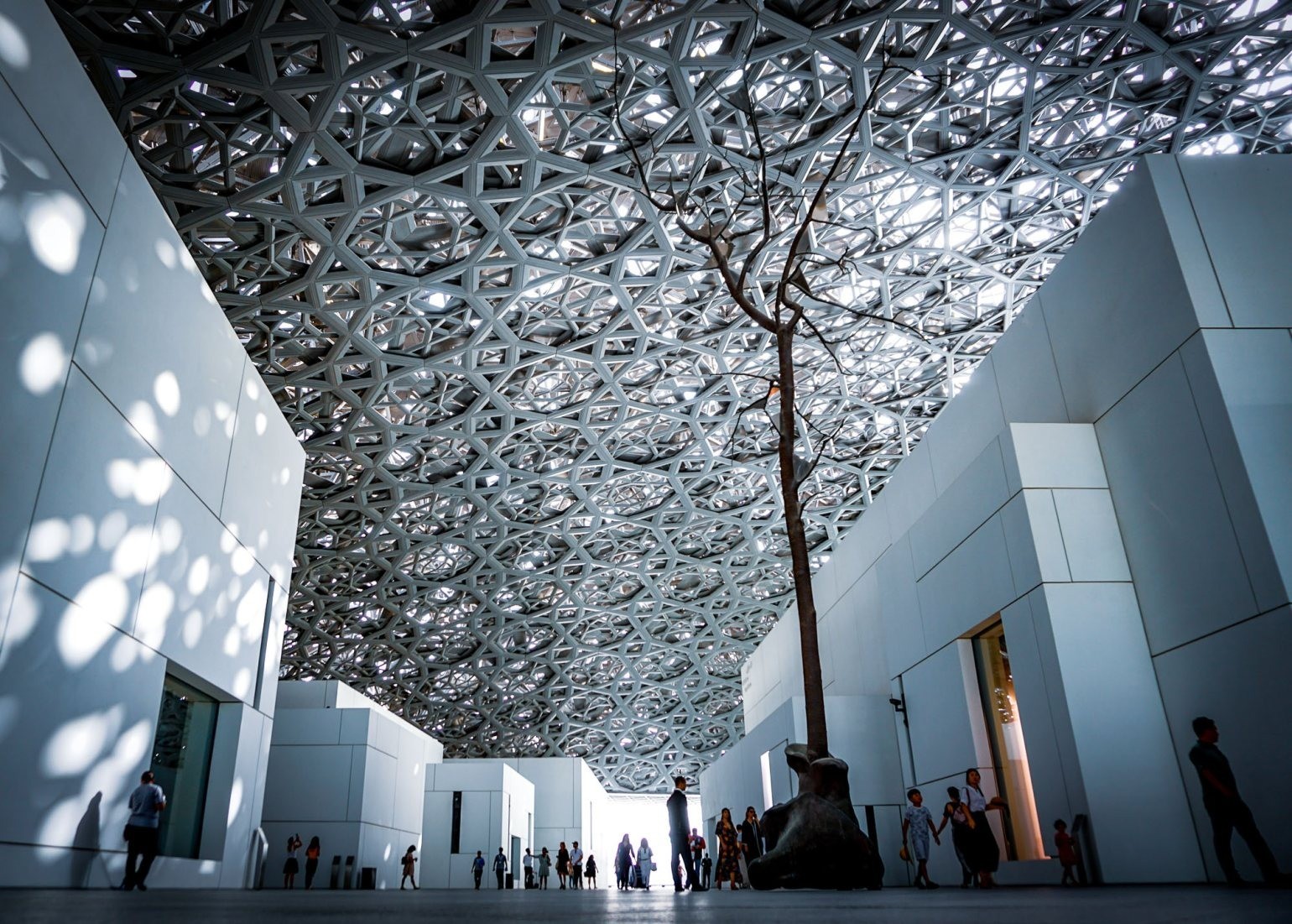1577_absolute_museum_gallery_pro_676f0ab85bd5c.jpg